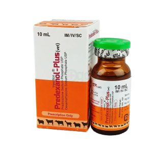 Predexanol-plus